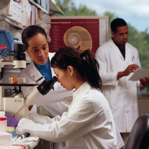 The Human Genome Project